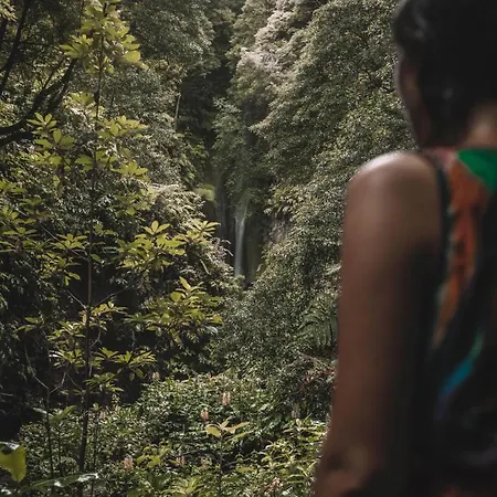 Villa 9 Furnas (Azores)