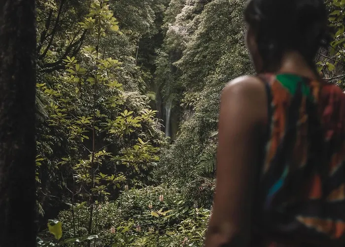 Villa 9 Furnas (Azores)